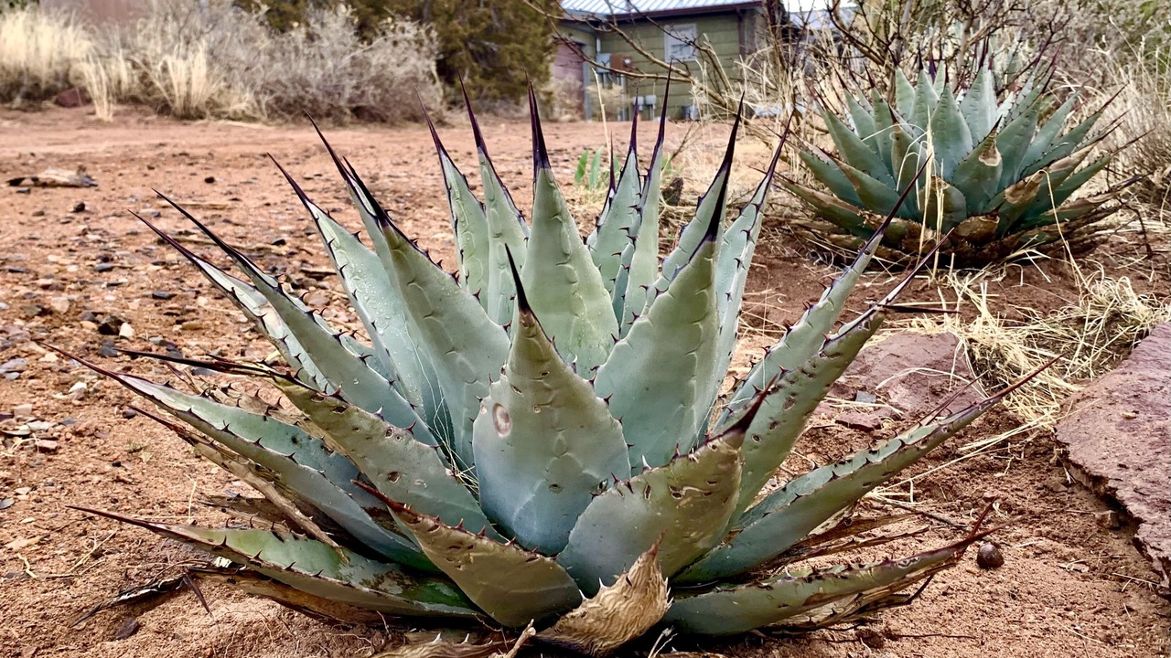 Photo of Outdoor in Cerrillos