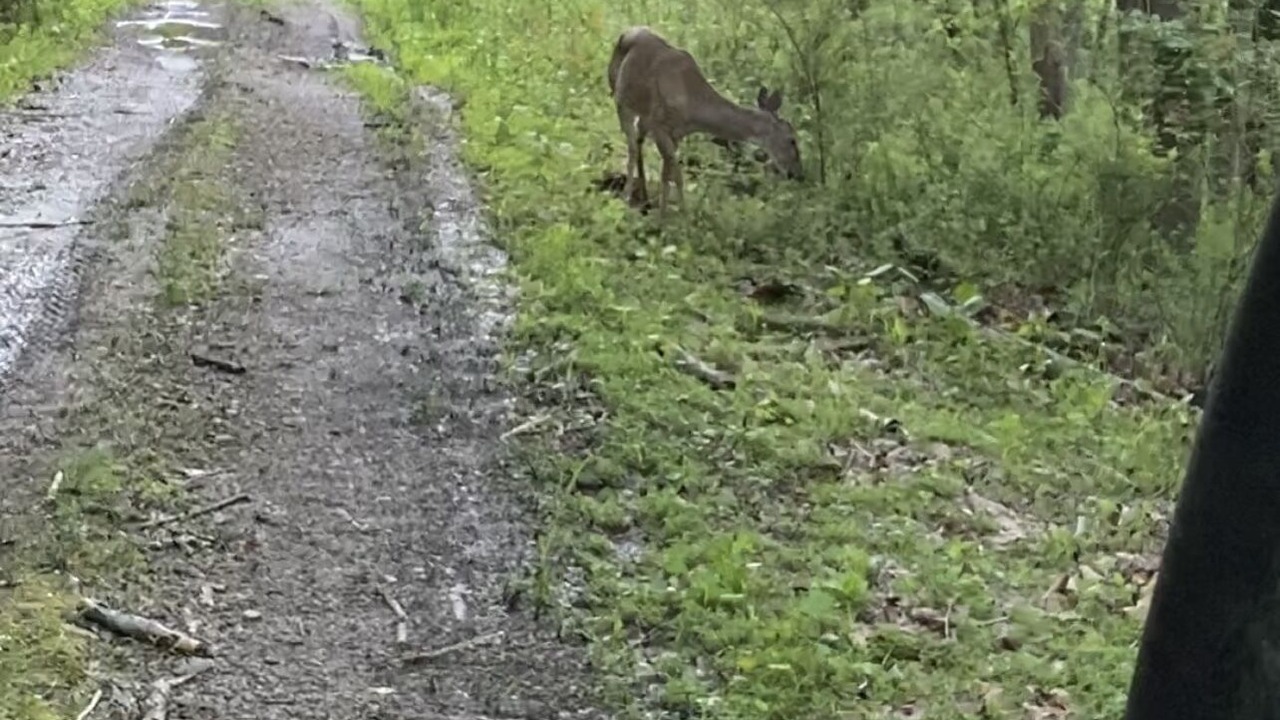 Photo of Others in Valley Bend