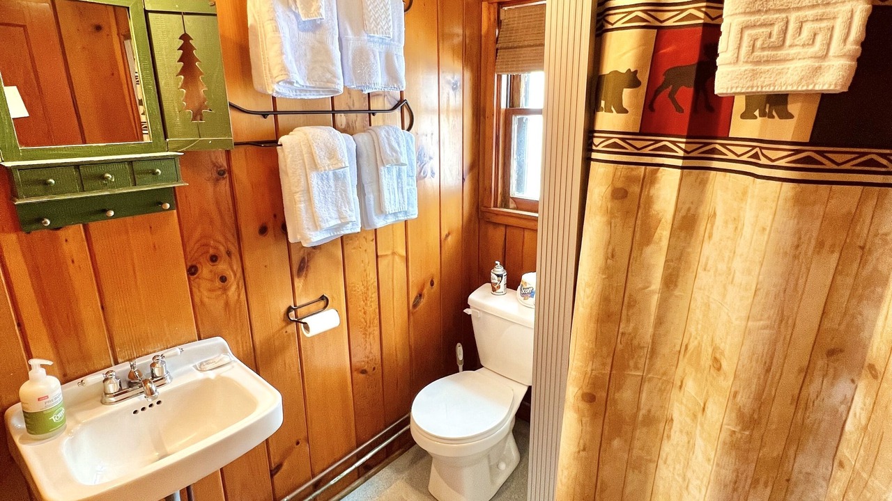 Photo of Bathroom in Indian Lake