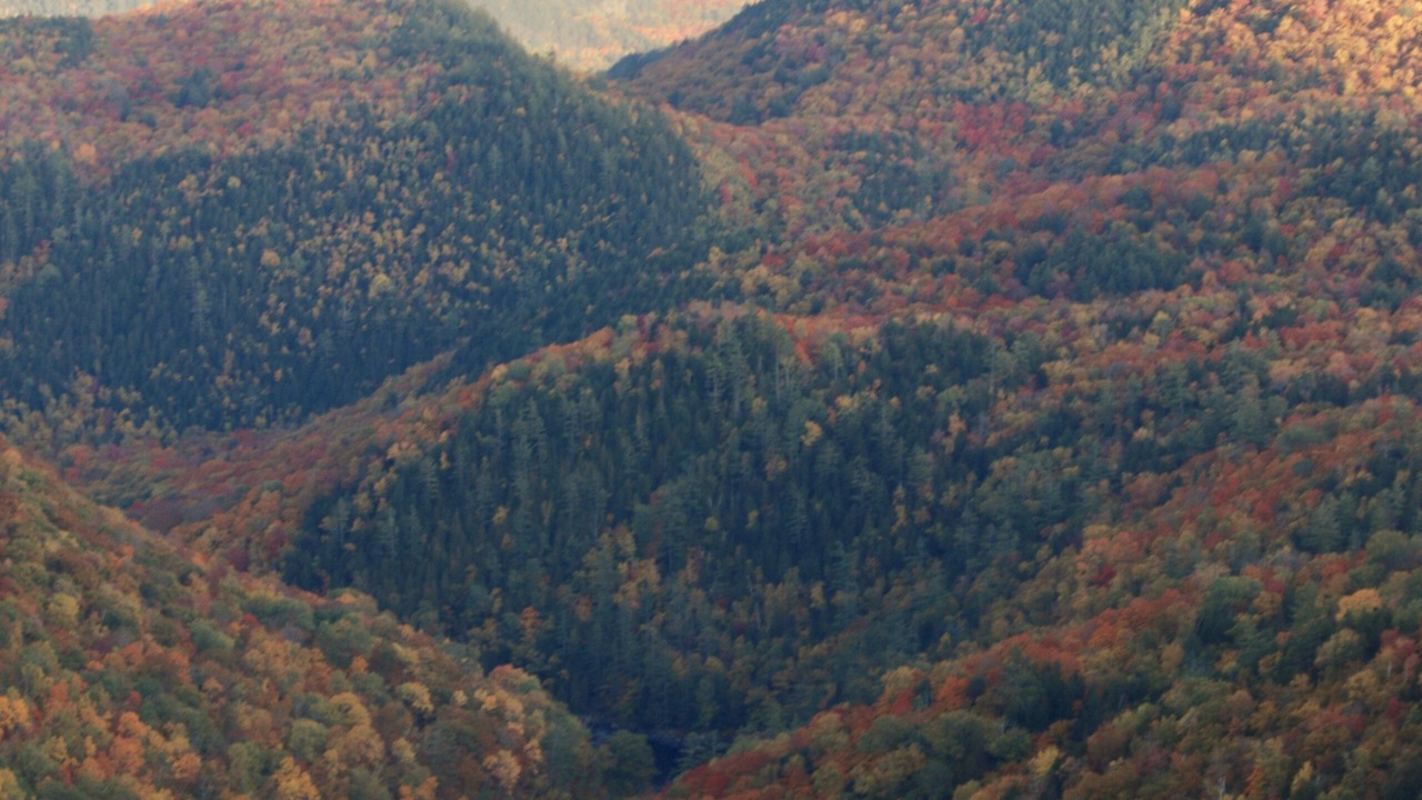 Photo of Outdoor in Indian Lake