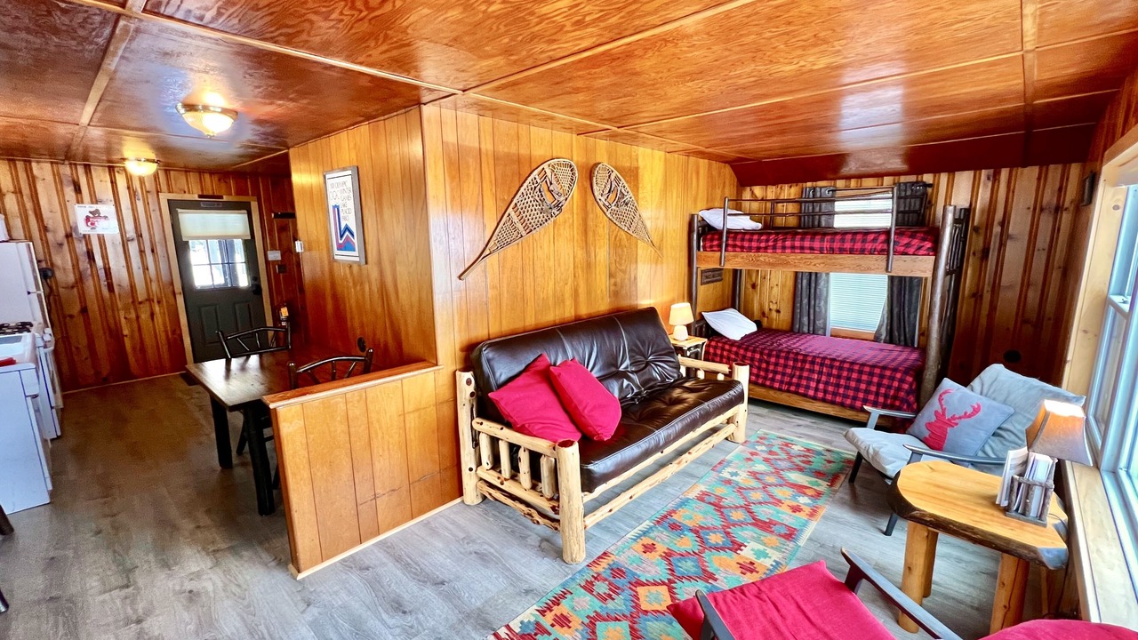 Photo of Livingroom in Indian Lake