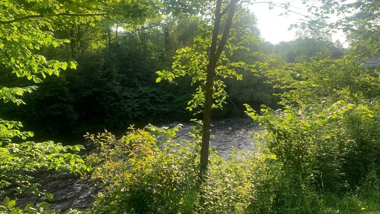 Photo of Others in Cummington