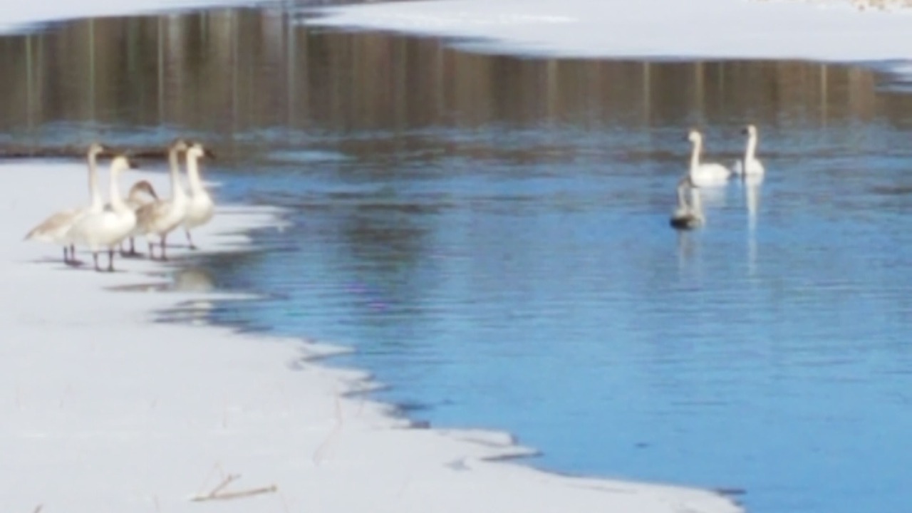 Photo of Others in Pine River