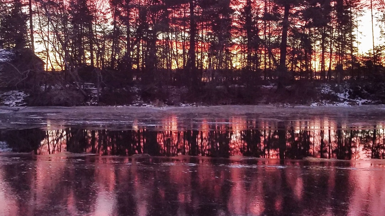 Photo of Outdoor in Pine River