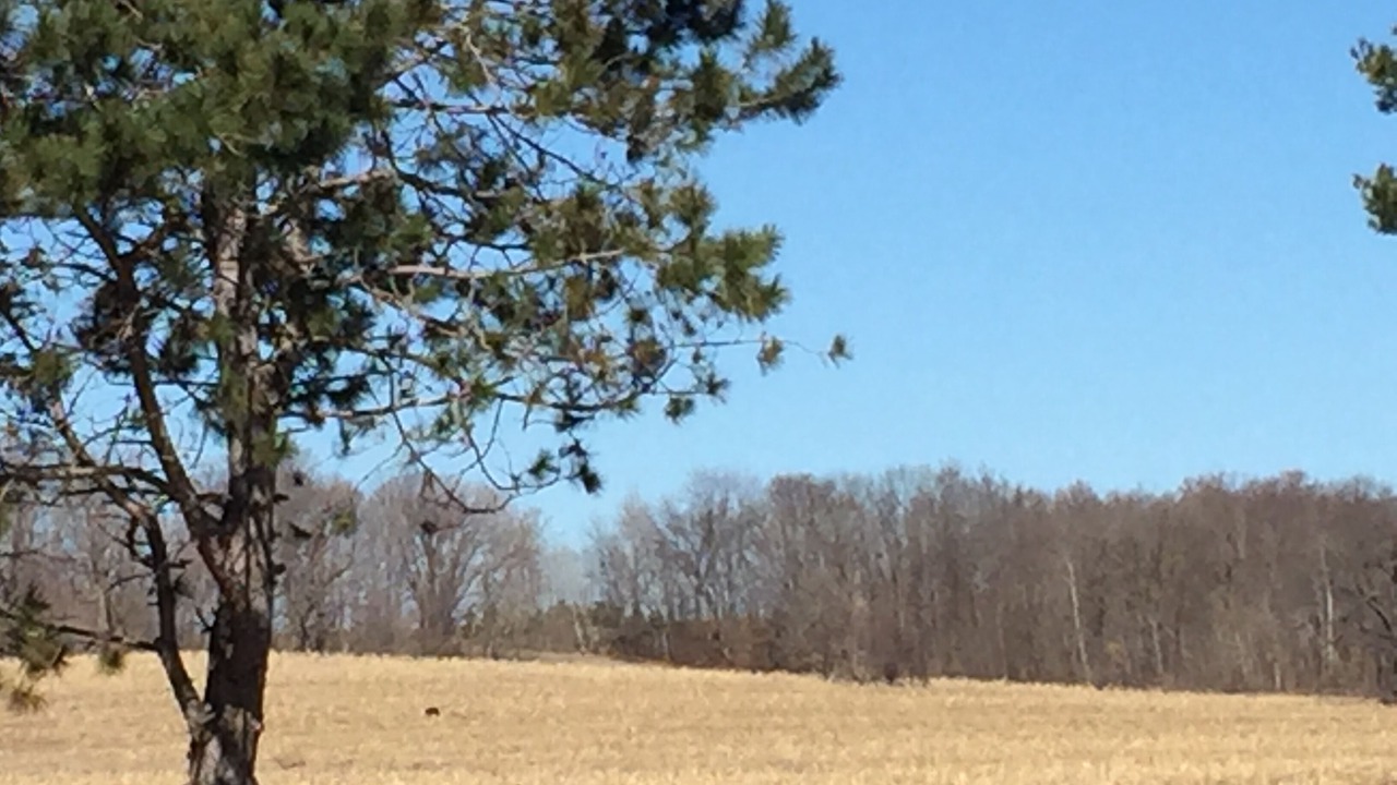 Photo of Others in Sand Creek