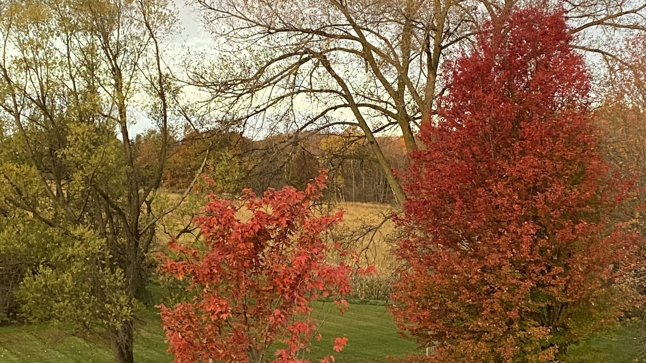 Photo of Outdoor in Spring Valley