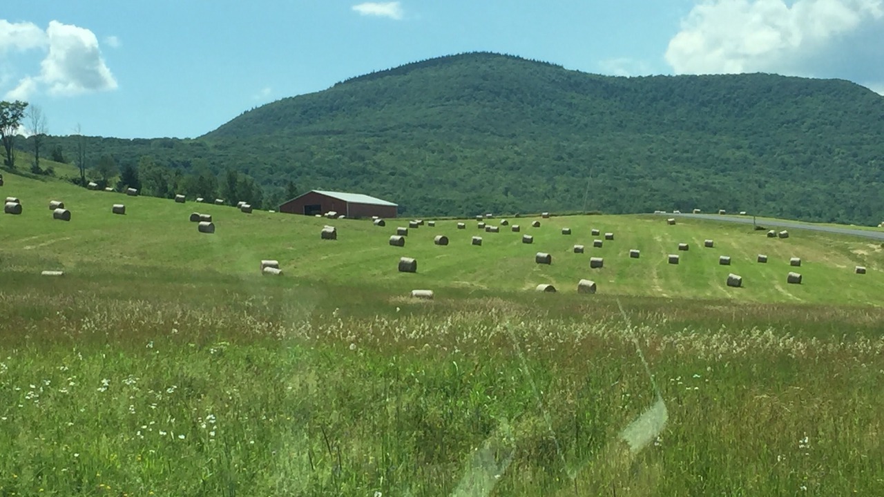 Photo of Outdoor in Durham