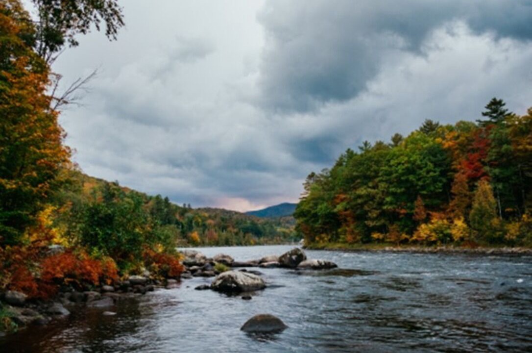Photo of Others in North River