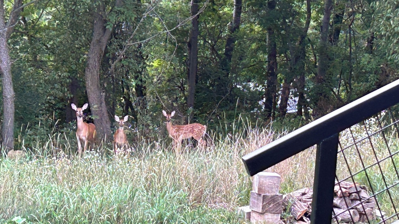 Photo of Outdoor in Westby