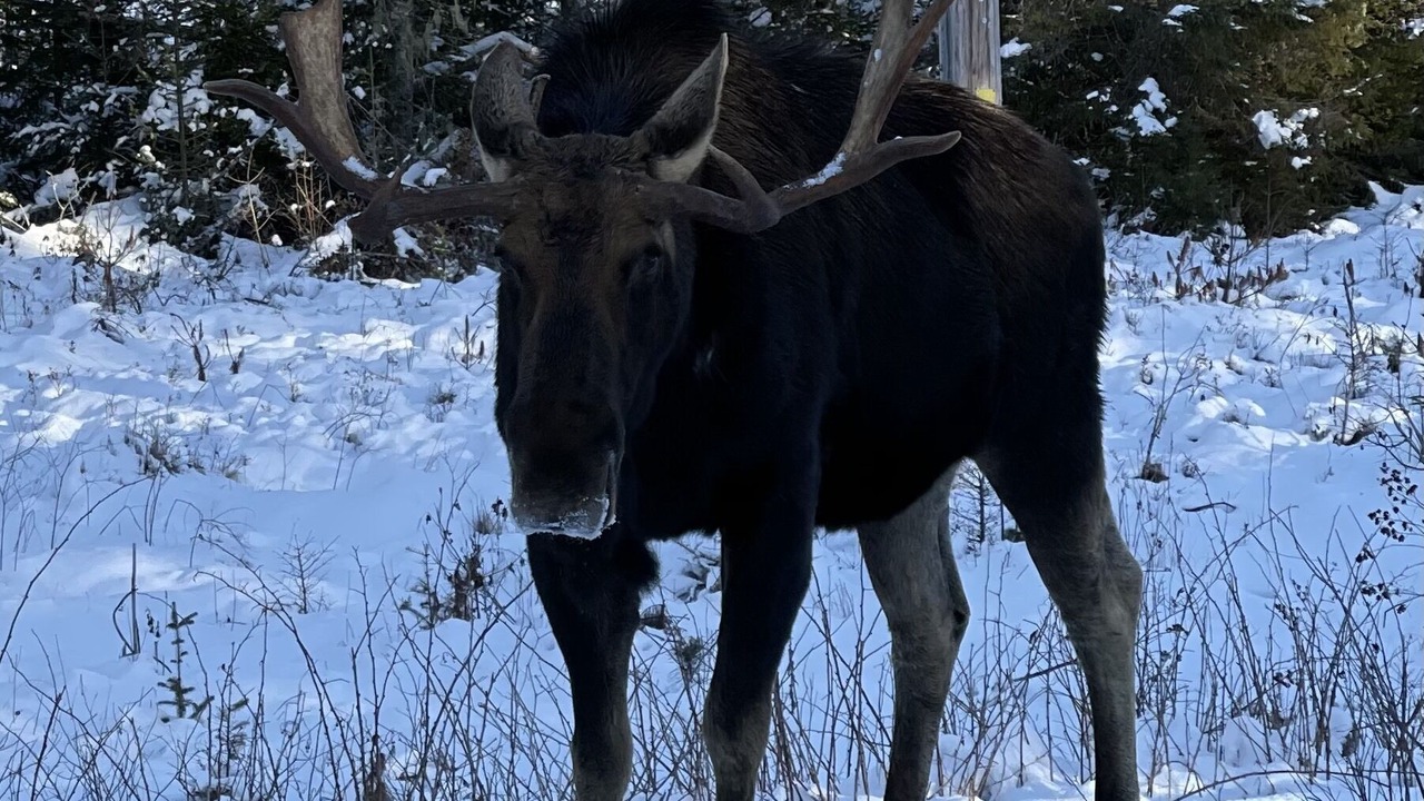 Photo of Others in Stratton