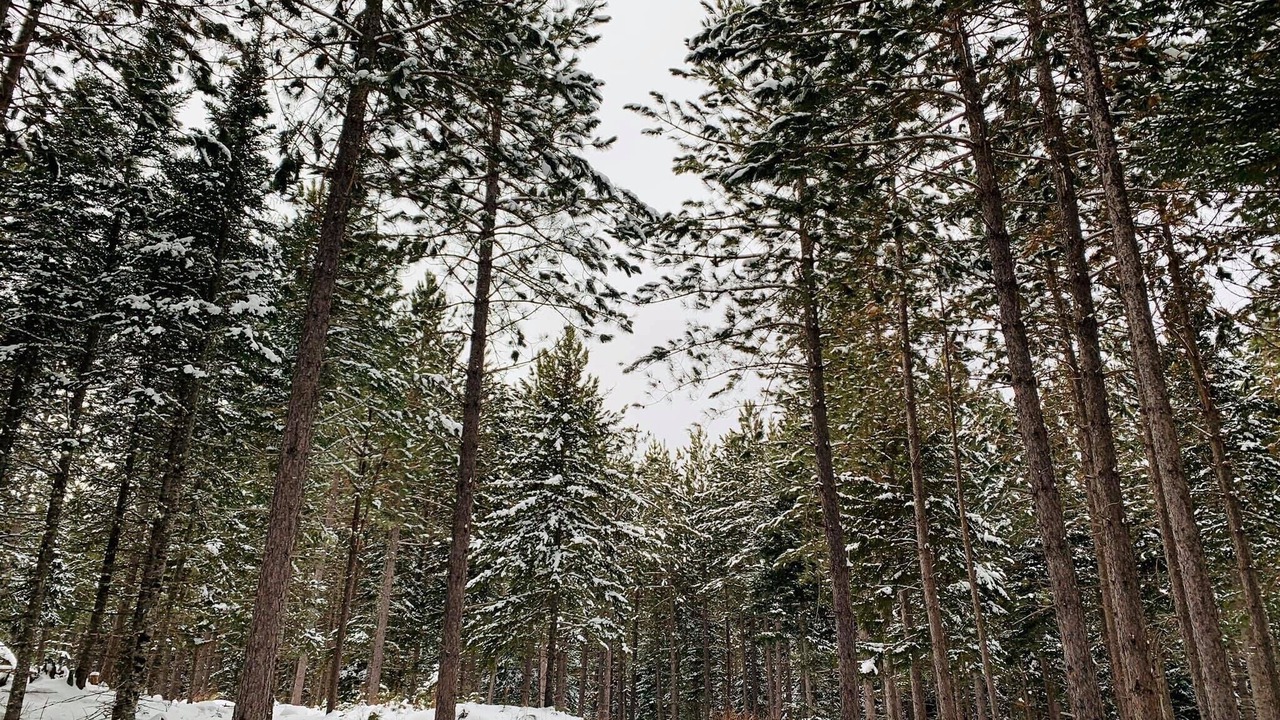 Photo of Others in Stratton