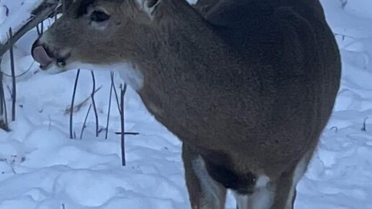 Photo of Others in Stratton