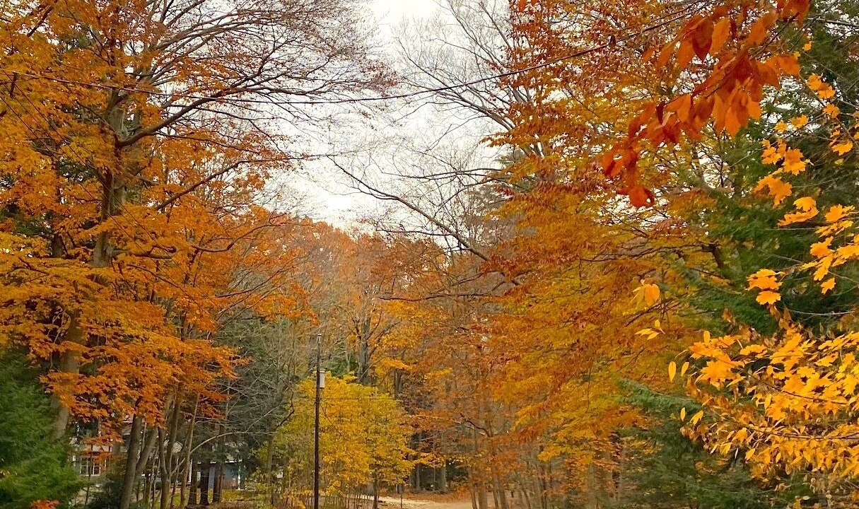 Photo of Outdoor in South Haven