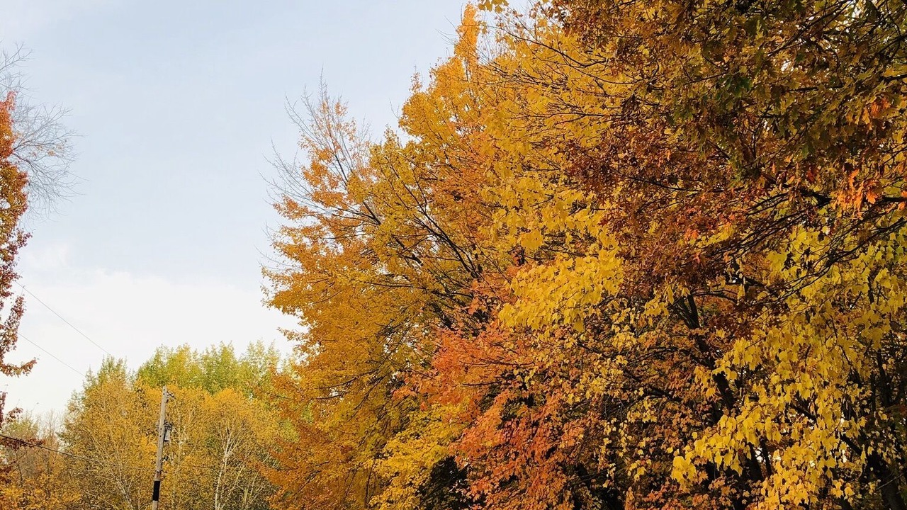 Photo of Outdoor in Ham Lake
