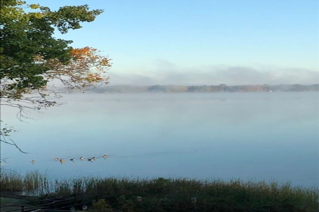 Photo of Others in Ham Lake