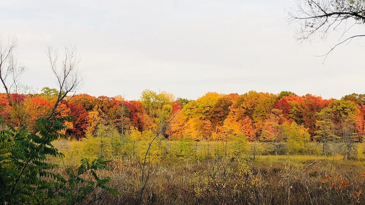 Photo of Outdoor in Ham Lake