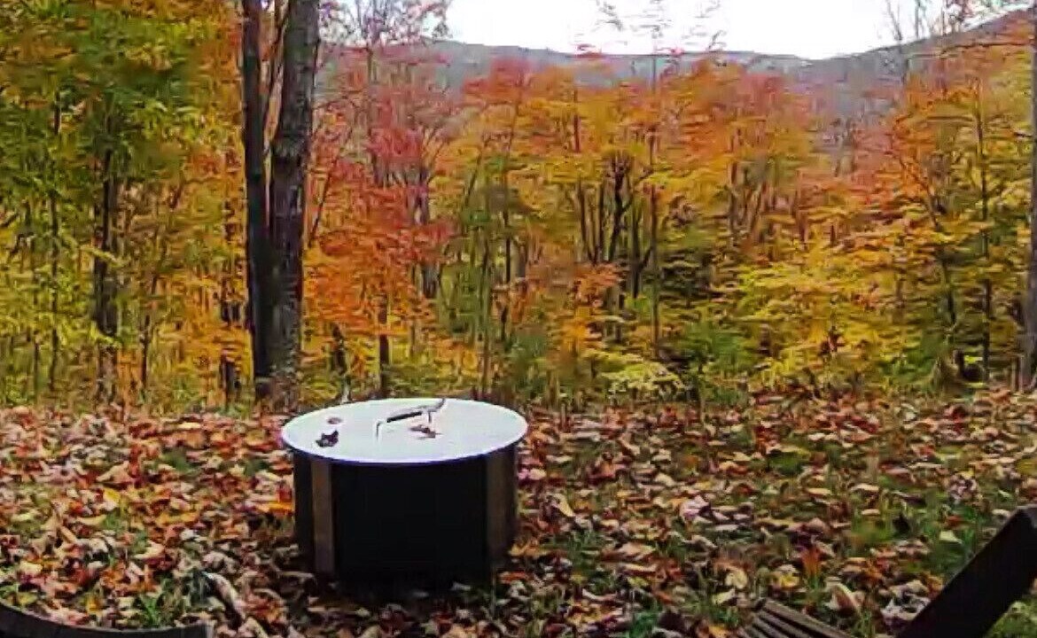 Photo of Outdoor in Plymouth