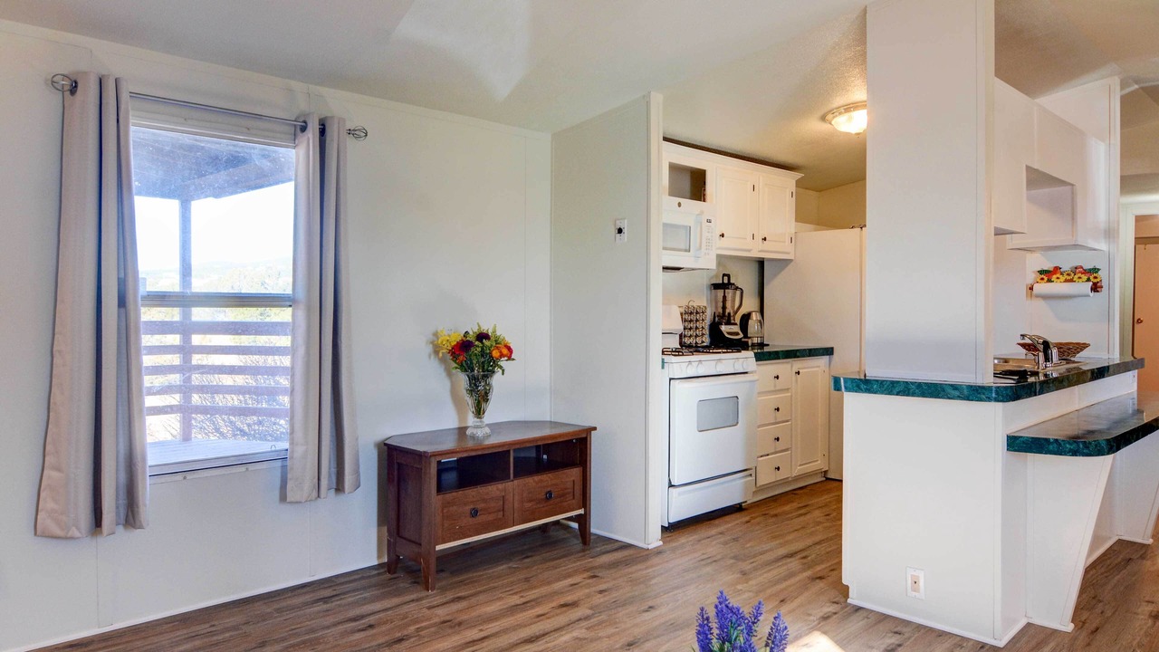 Photo of Livingroom in Sandia Park