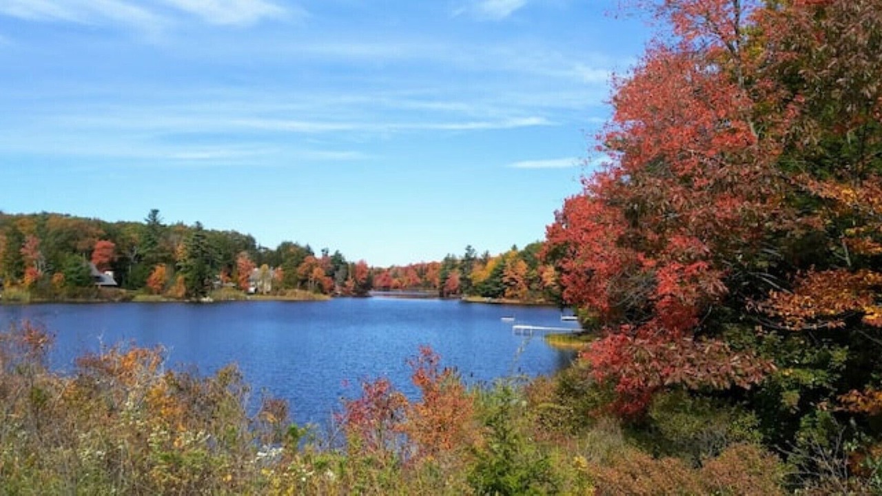 Photo of Outdoor in Otis
