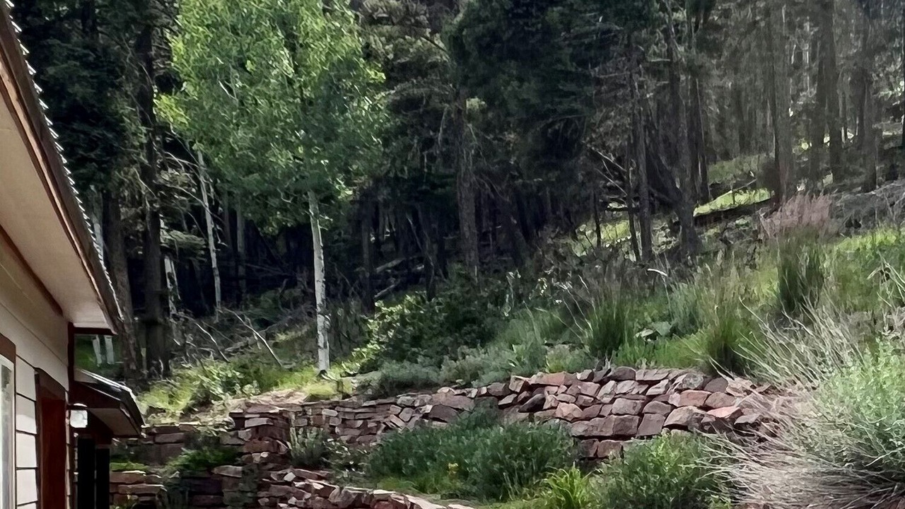 Photo of Others in Angel Fire