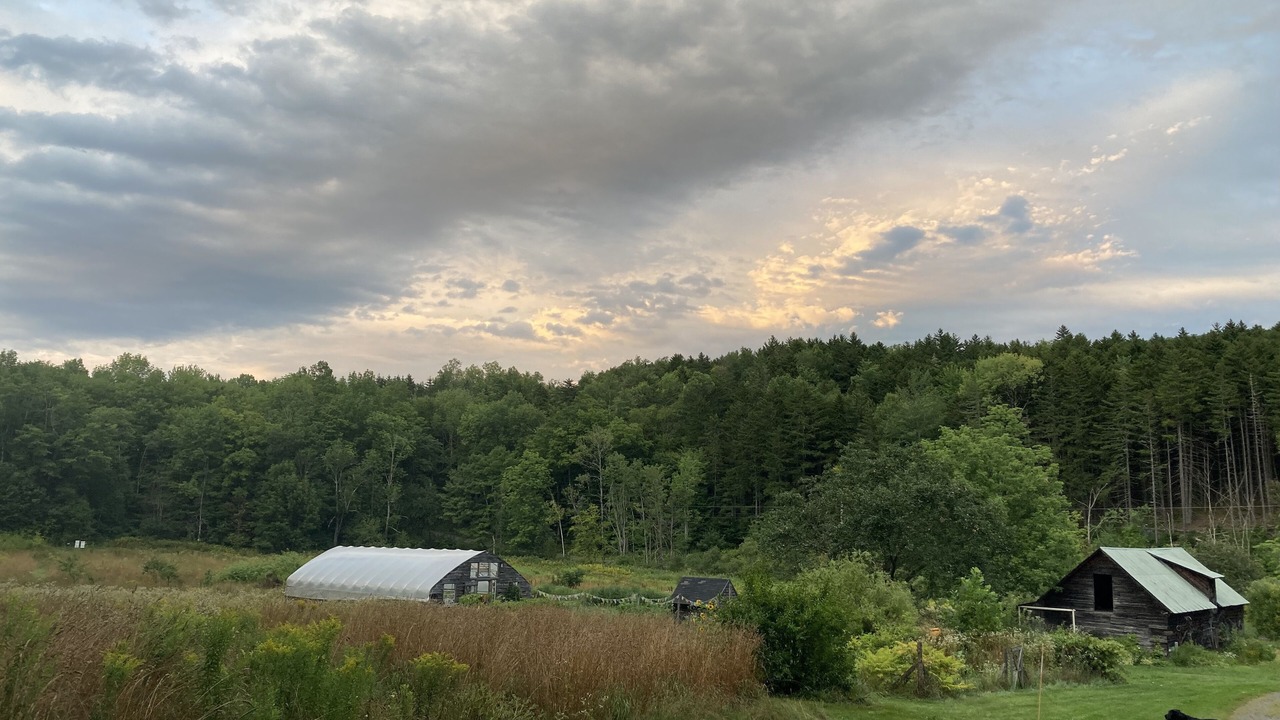Photo of Outdoor in Roxbury
