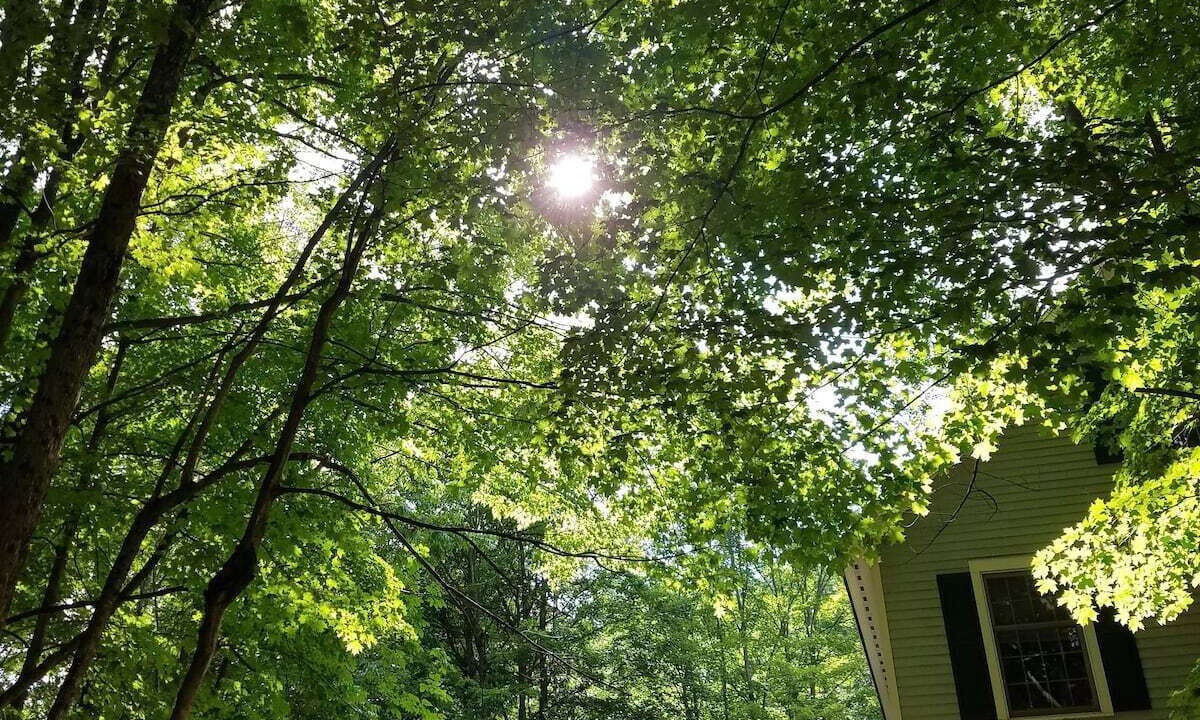Photo of Outdoor in Roxbury