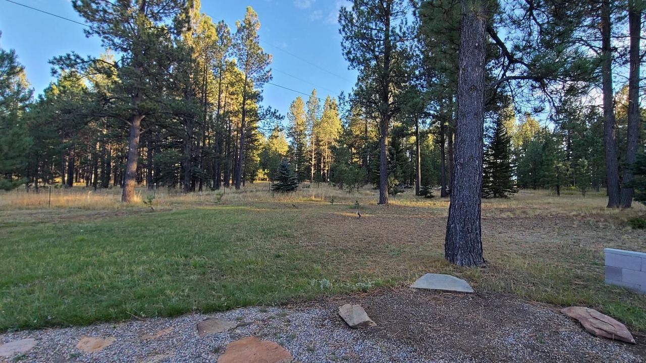 Photo of Outdoor in Angel Fire