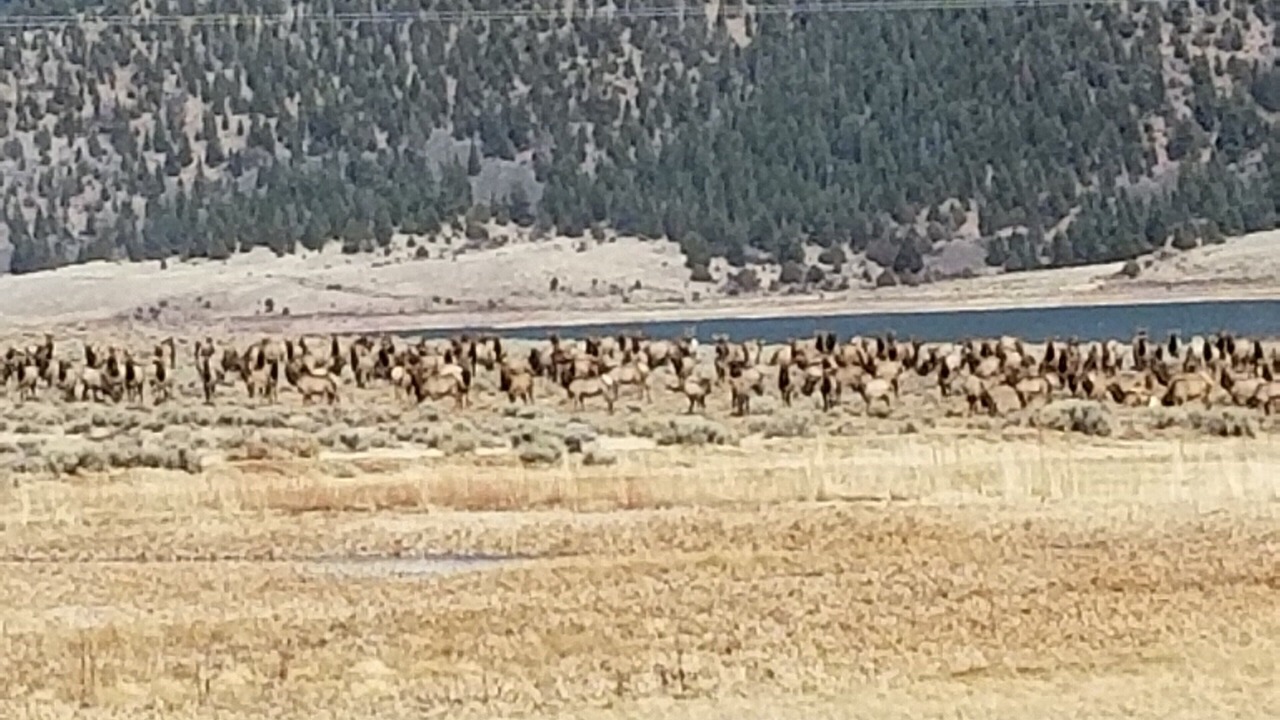 Photo of Outdoor in Eagle Nest