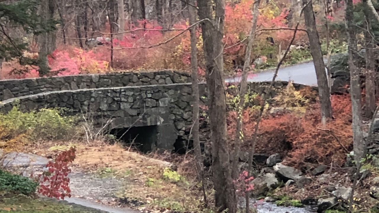 Photo of Outdoor in Pound Ridge