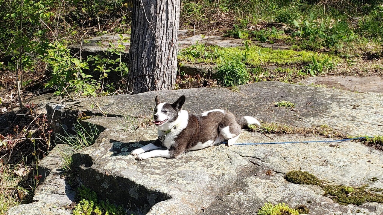 Photo of Outdoor in Thousand Island Park