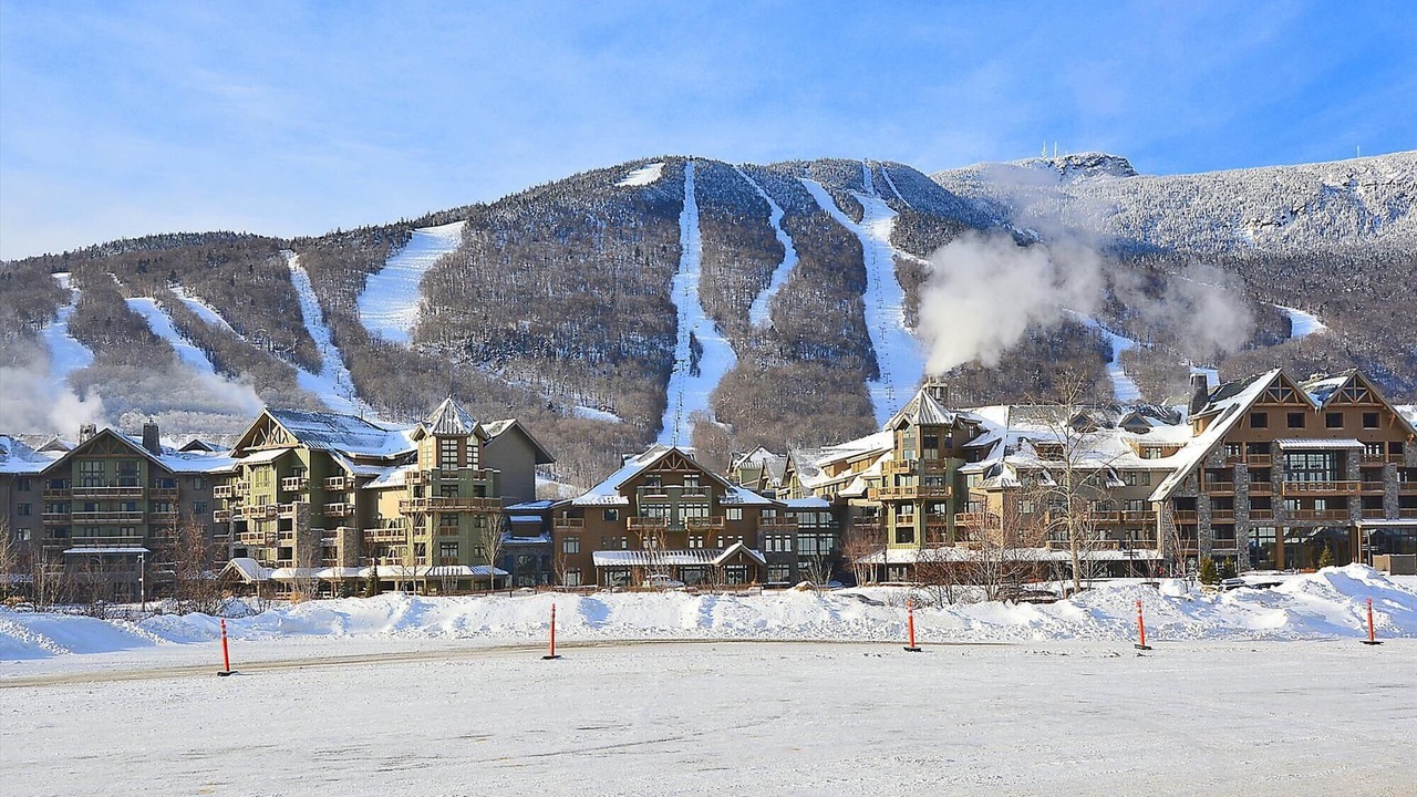 Photo of Others in Stowe Area