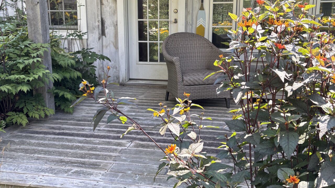 Photo of Patio Balcony in Montpelier