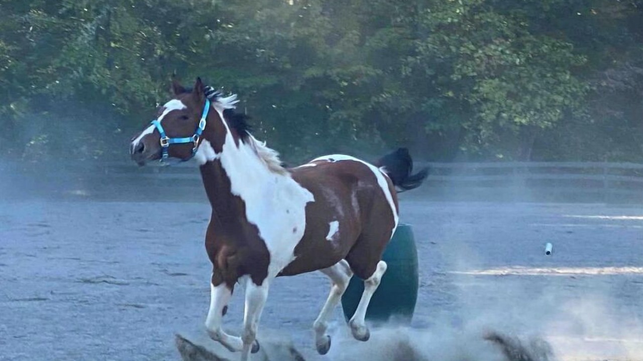 Photo of Others in Maple Hill