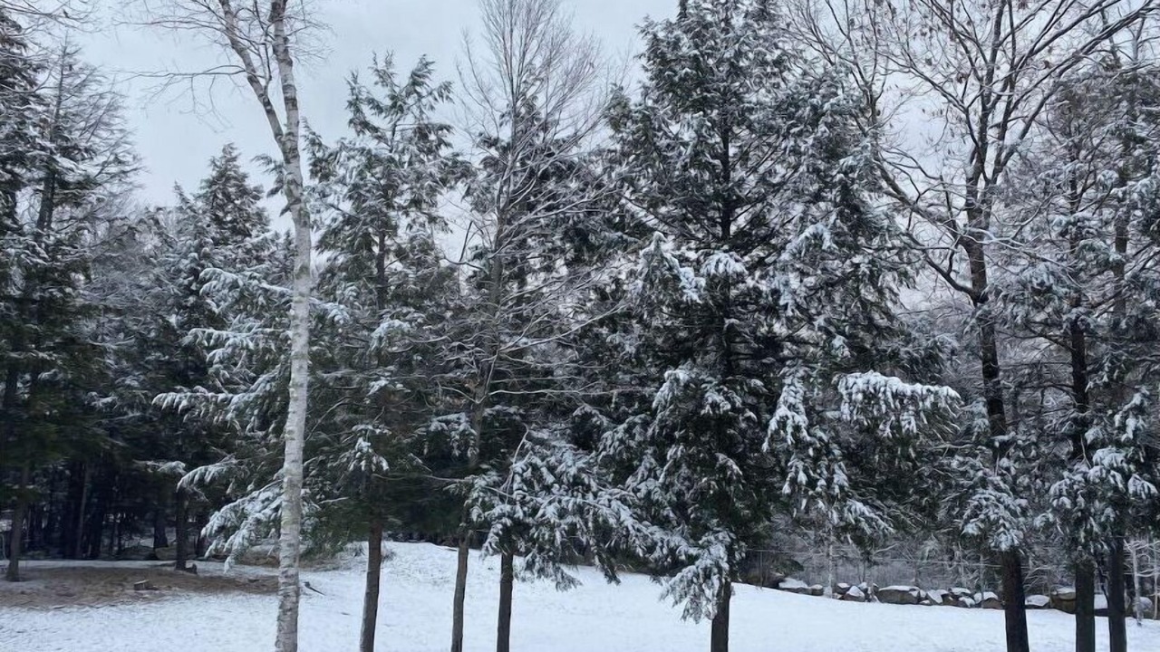 Photo of Outdoor in Belmont
