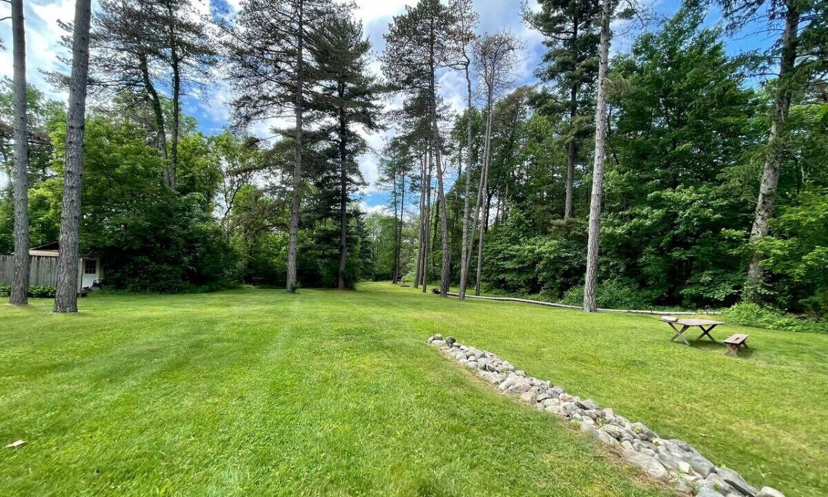 Photo of Outdoor in White Lake