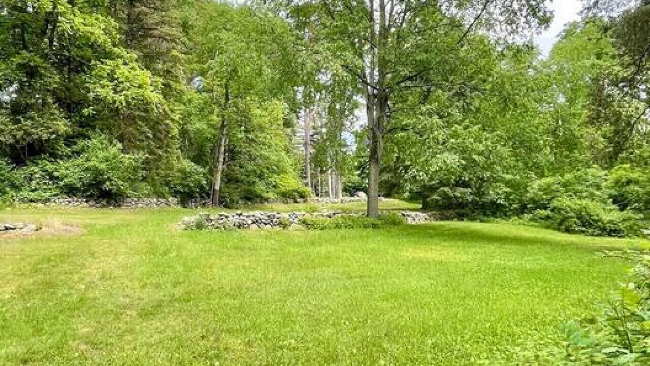 Photo of Outdoor in White Lake