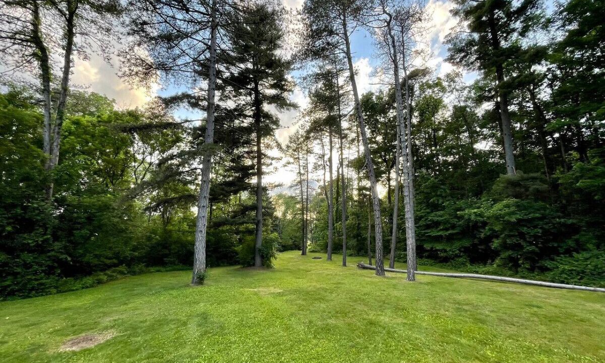 Photo of Outdoor in White Lake