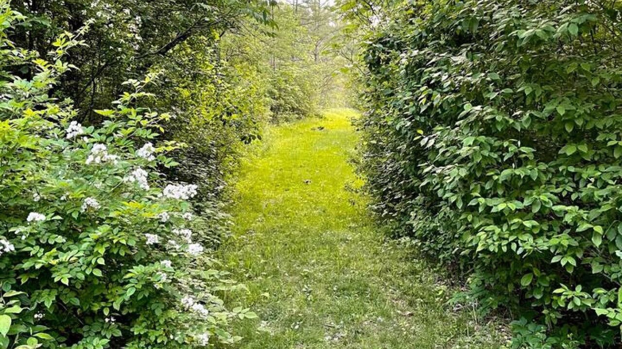 Photo of Outdoor in White Lake