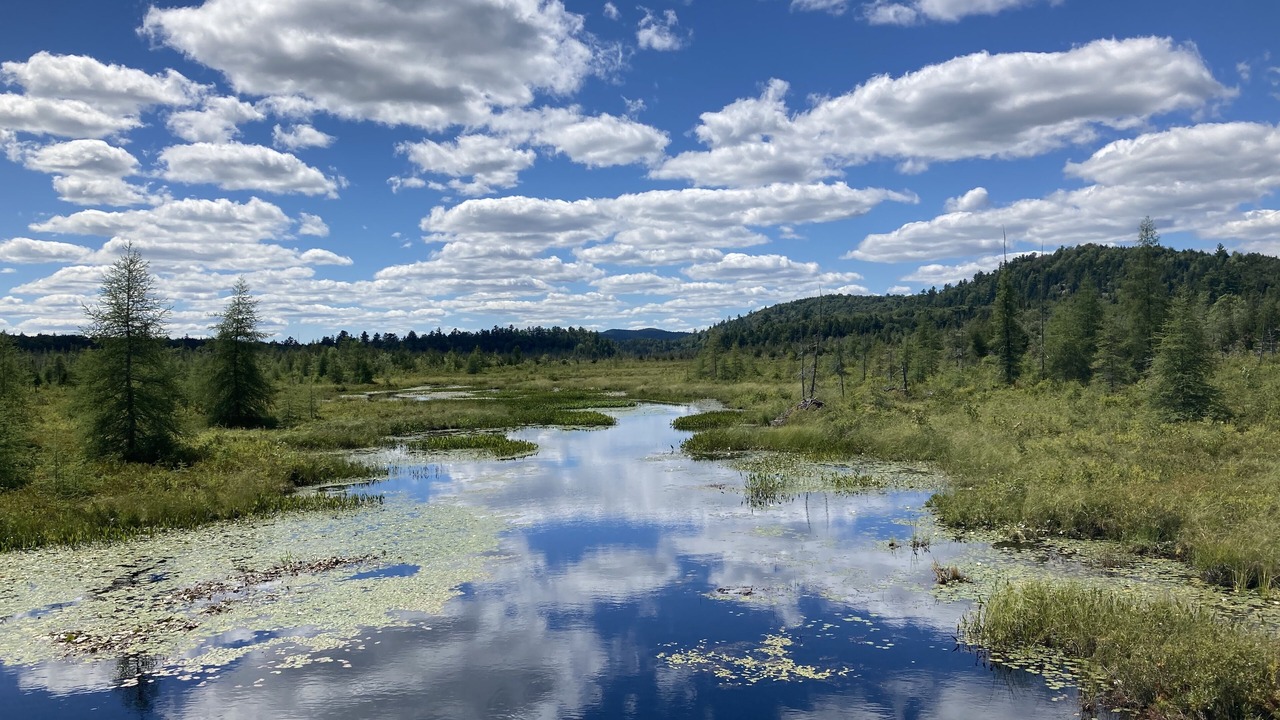 Photo of Others in Old Forge