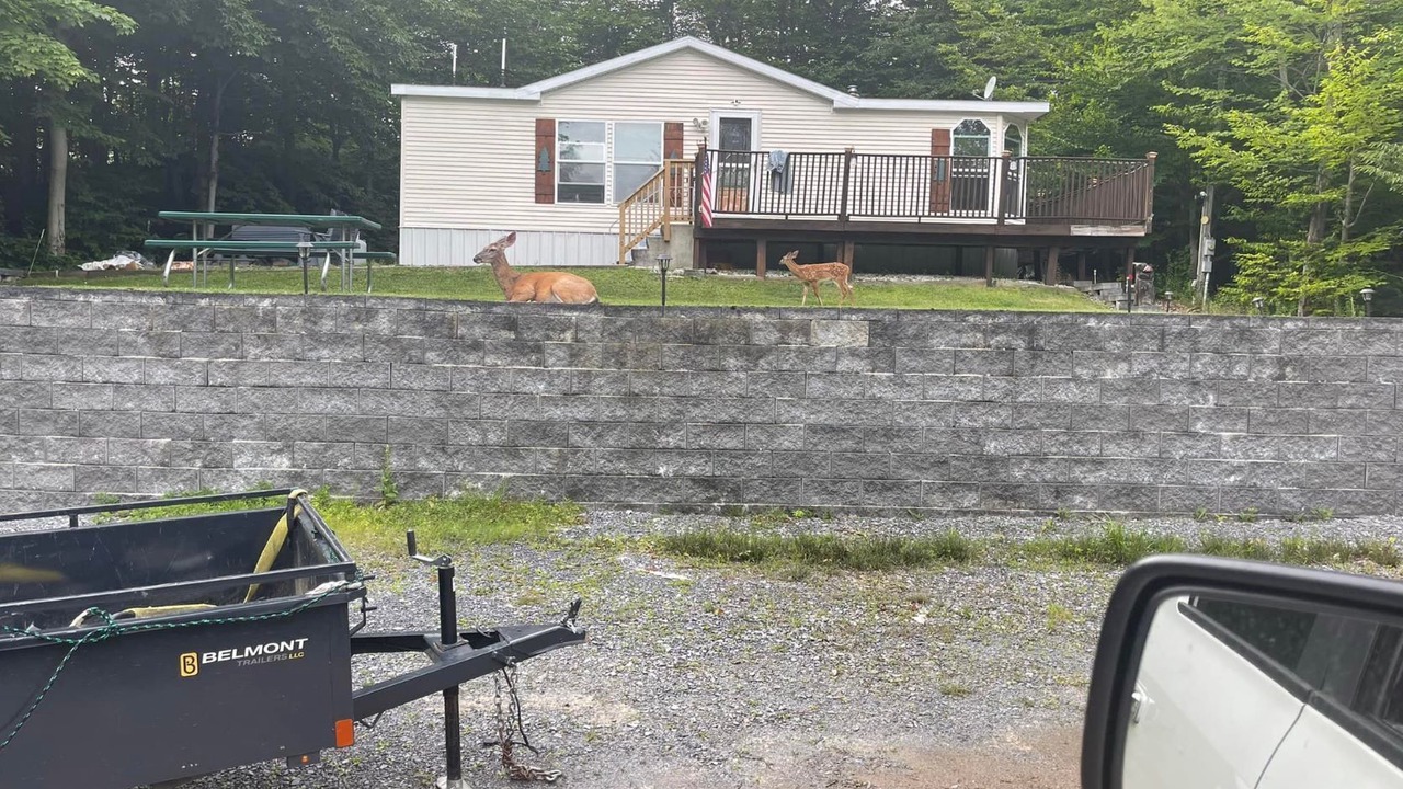 Photo of Others in Old Forge