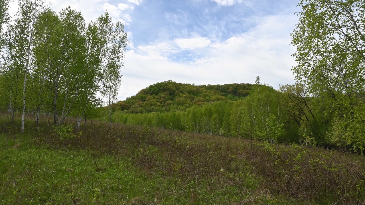 Photo of Outdoor in Norwalk