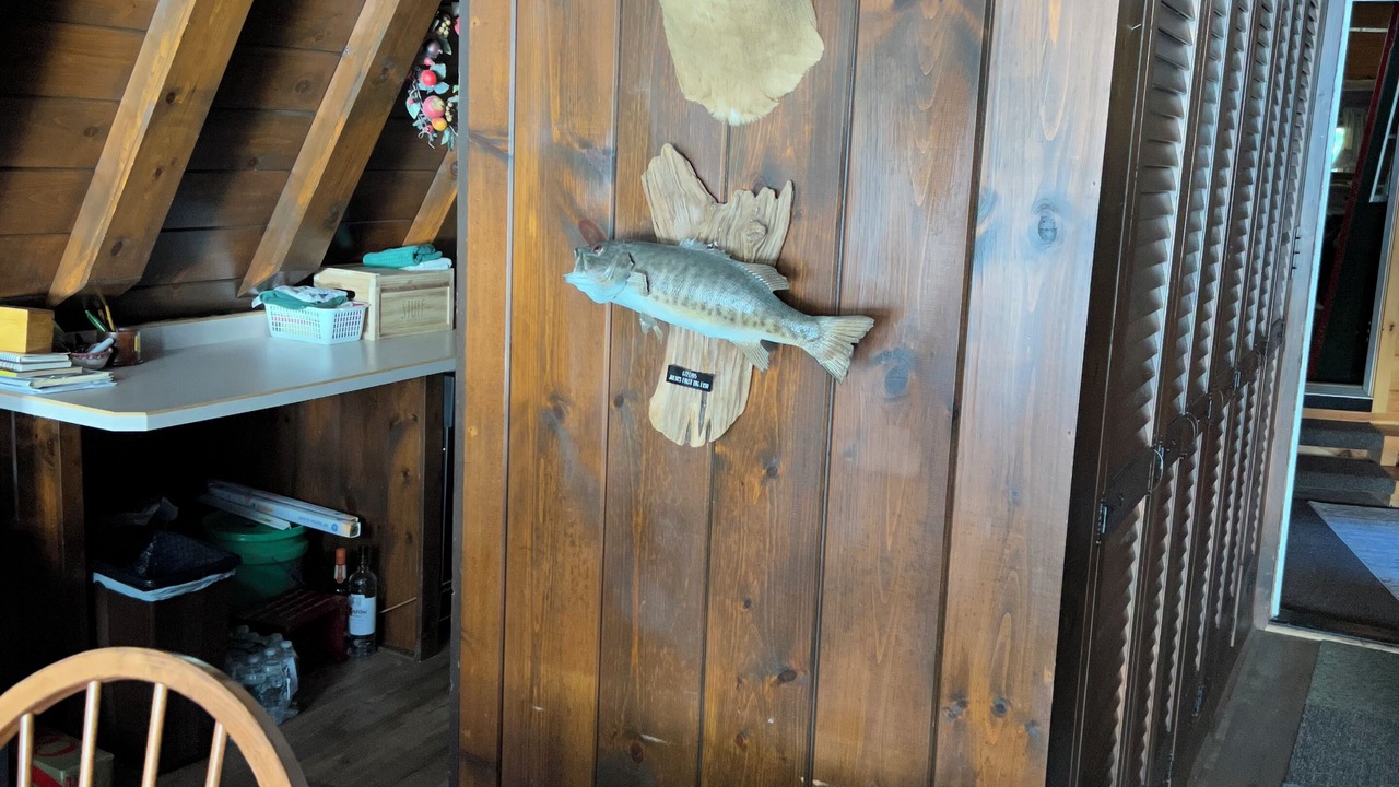 Photo of Others in Saranac Lake