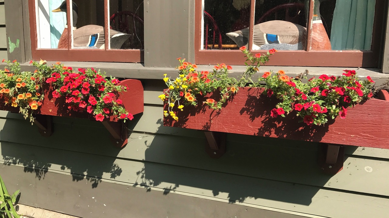 Photo of Outdoor in Plymouth