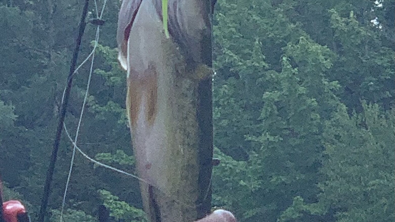 Photo of Others in Rhinelander