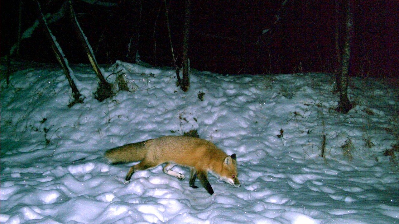 Photo of Others in Hackensack