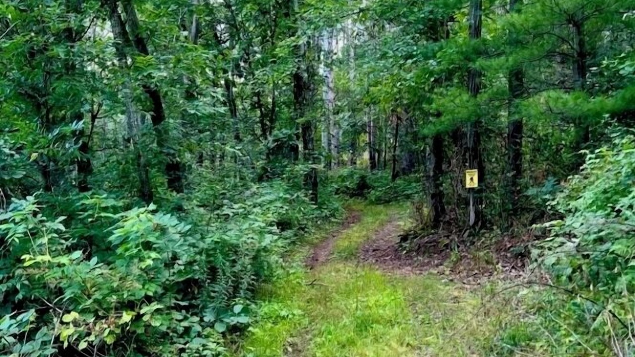 Photo of Outdoor in Marshland