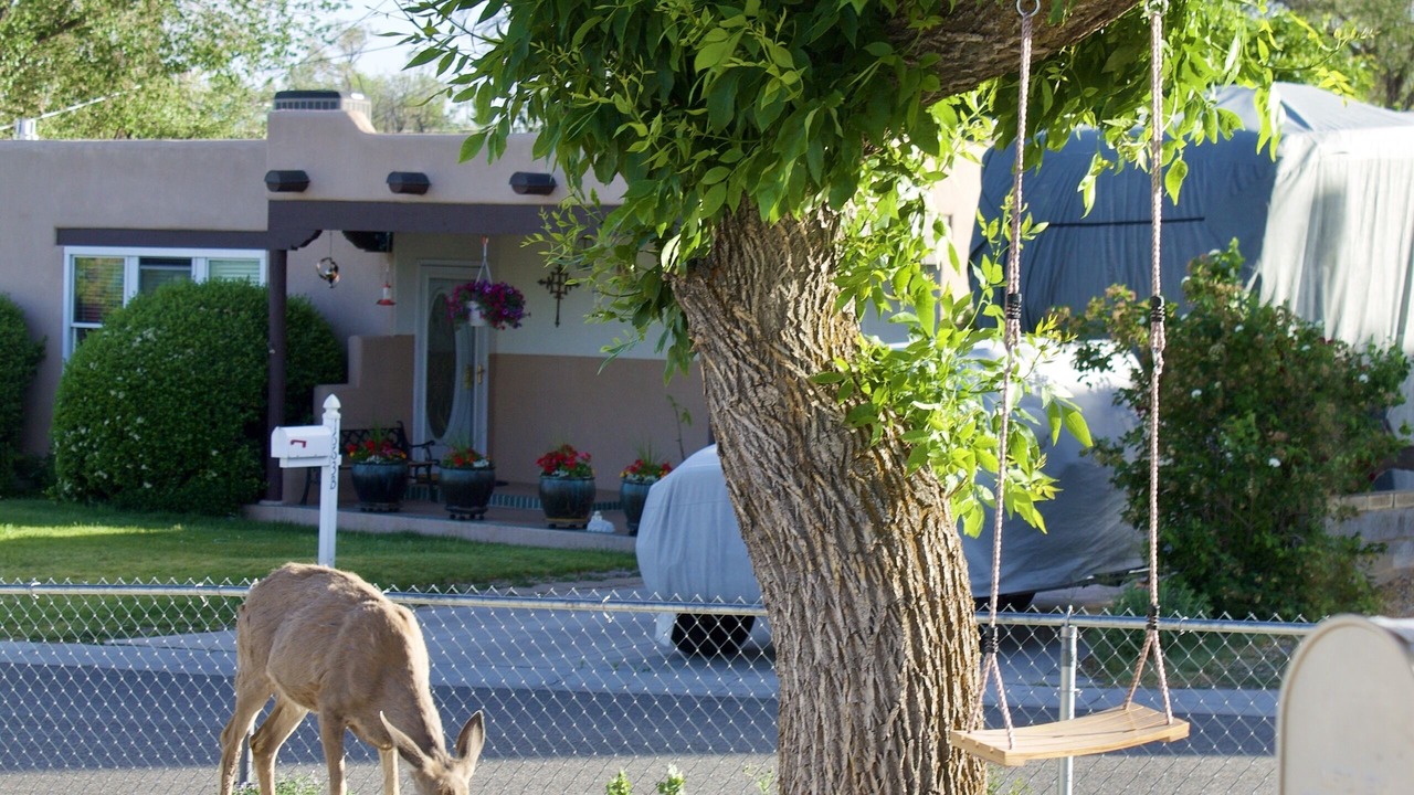 Photo of Outdoor in Los Alamos