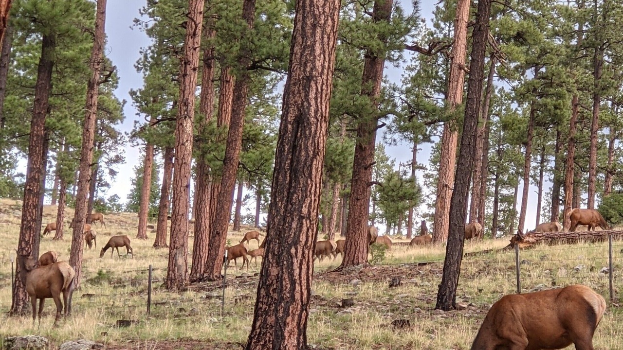 Photo of Outdoor in Alpine