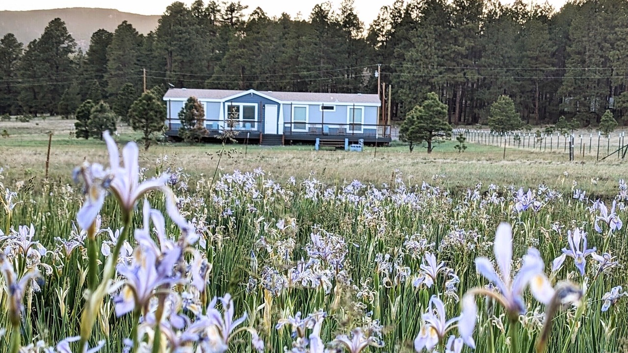 Photo of Outdoor in Alpine