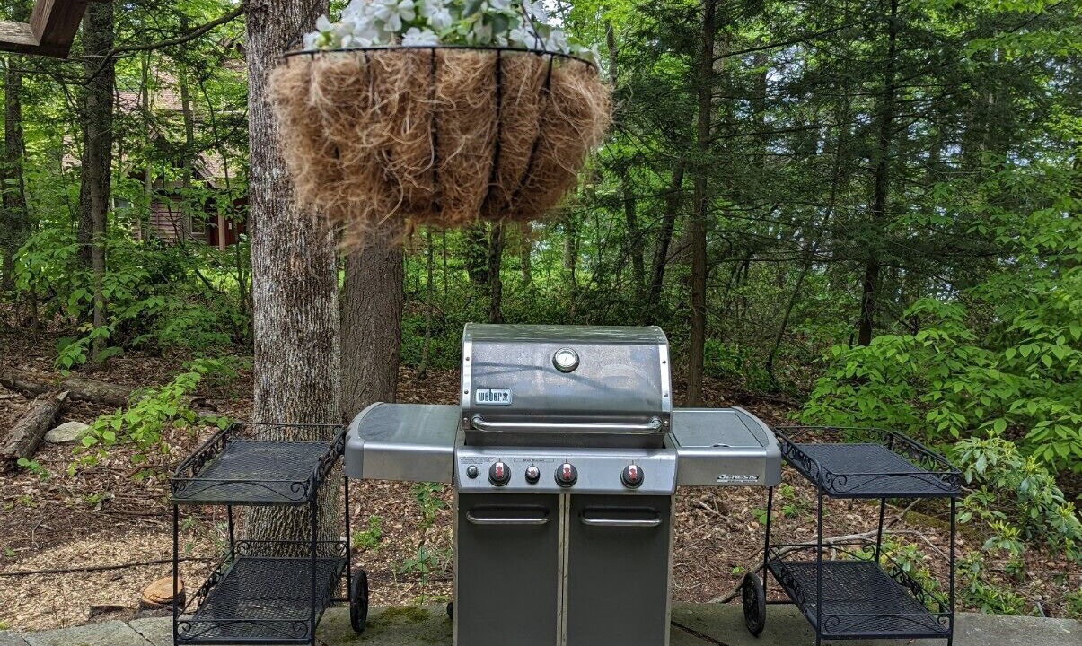 Photo of Outdoor in Norfolk